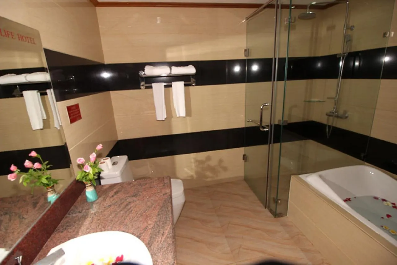 Myanmar Life Hotel Rangum 3*,